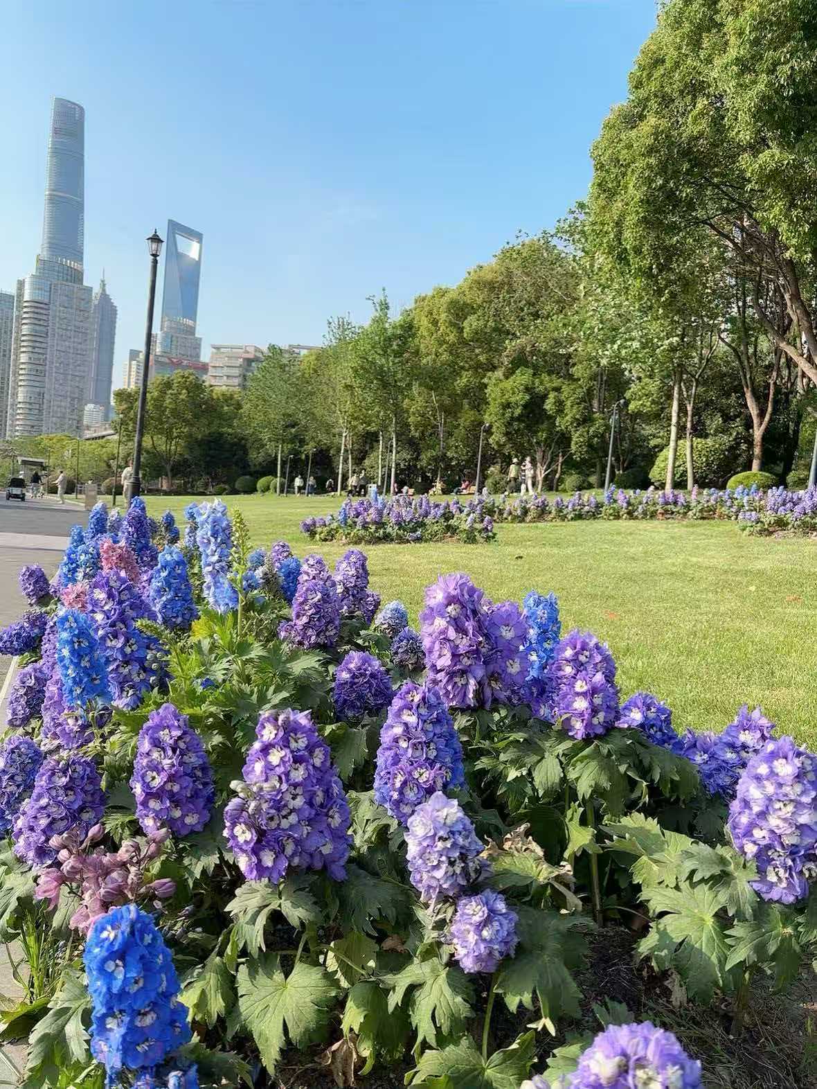 2138acom太阳集团