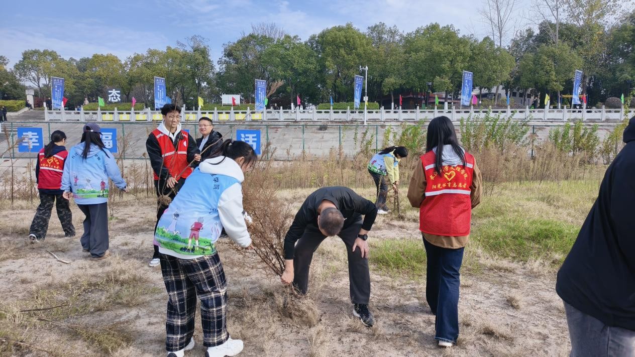 2138acom太阳集团