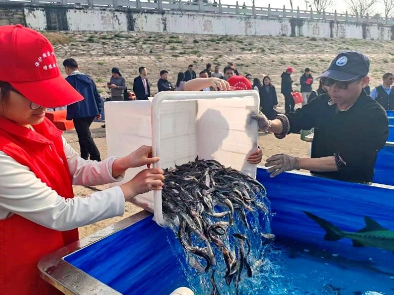 2138acom太阳集团