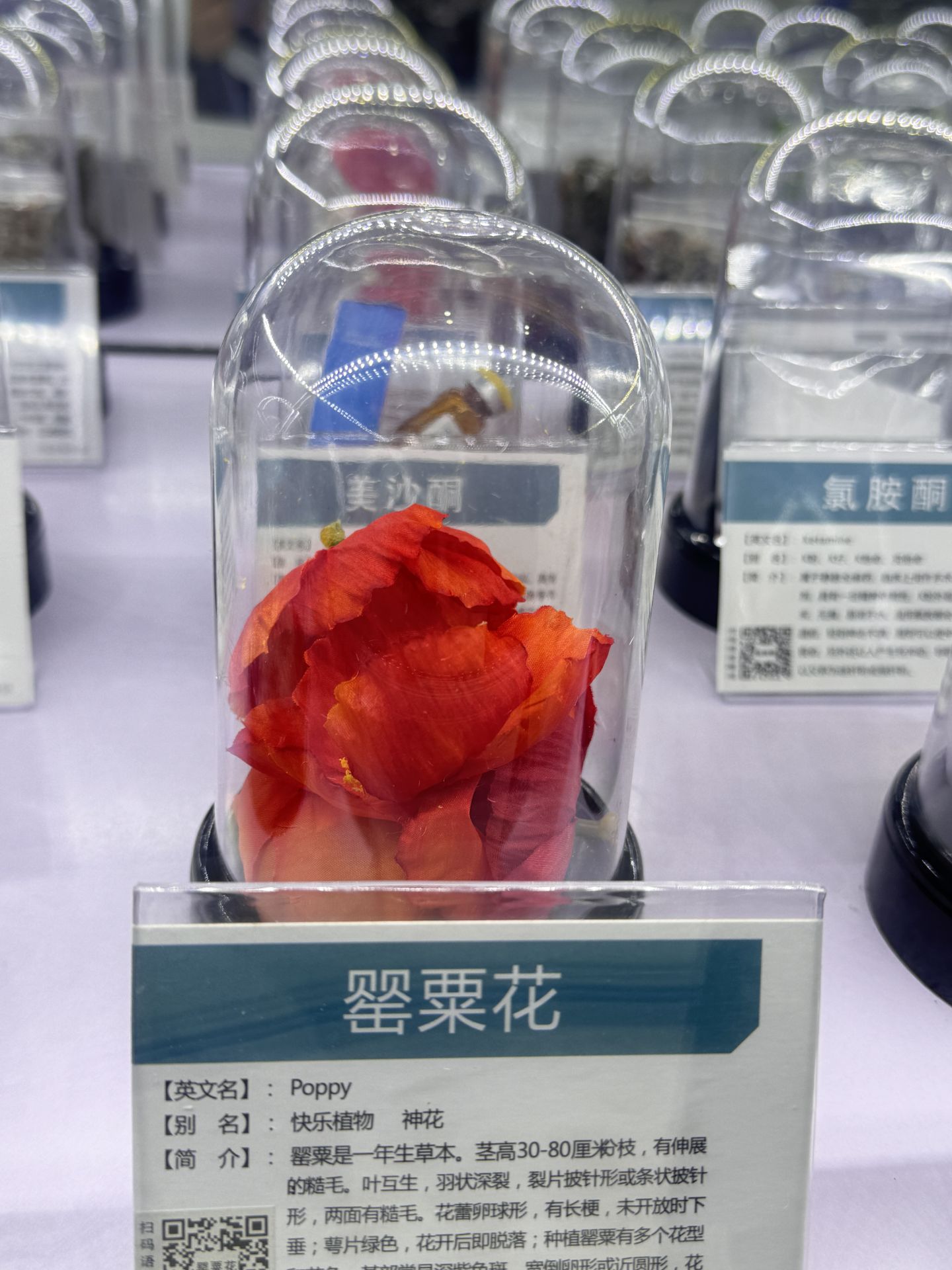 2138acom太阳集团