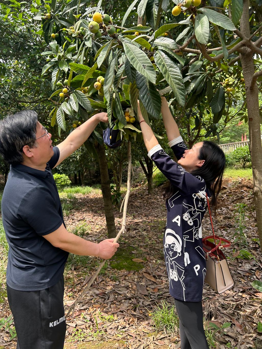 2138acom太阳集团