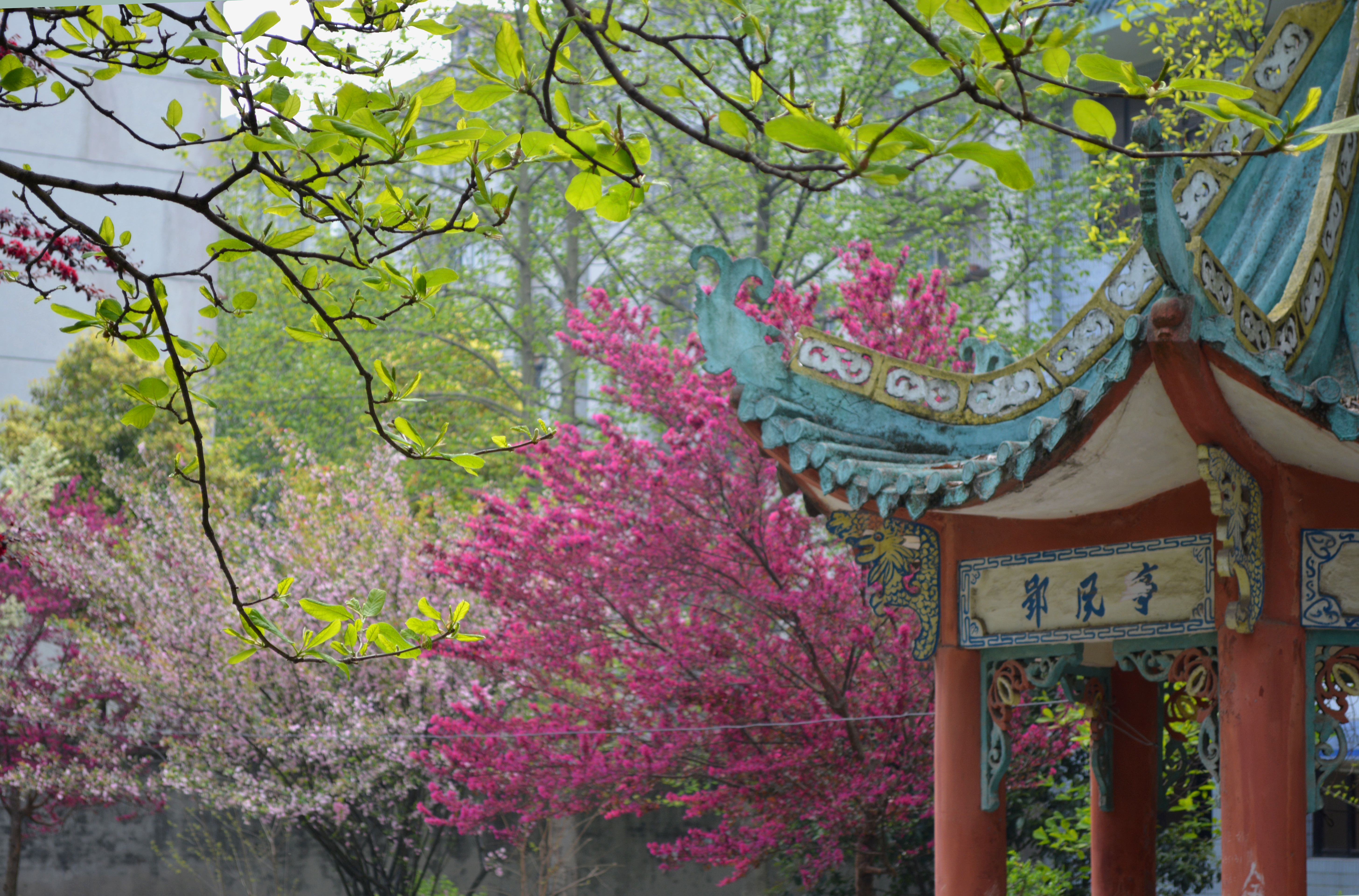 2138acom太阳集团