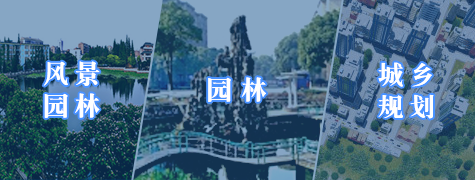 2138acom太阳集团